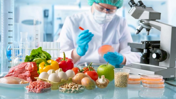 Saudi Arabia Food Safety Testing Market Size Expands at Significant CAGR of 6.26%